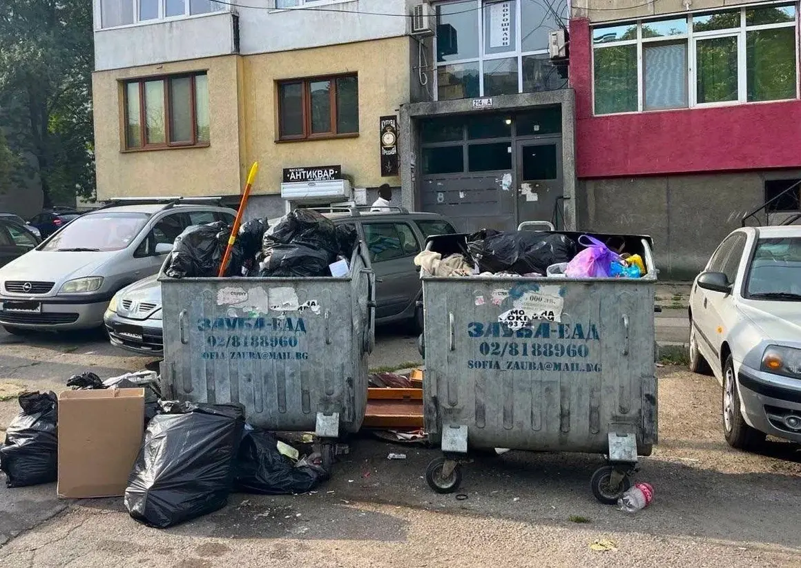 Васил Терзиев глоби "Зауба" и "Грийн партнърс" с над 160 000 лв. 