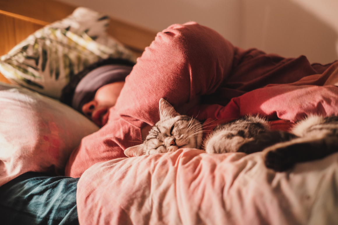 The power of power nap или силата на следобедния сън
