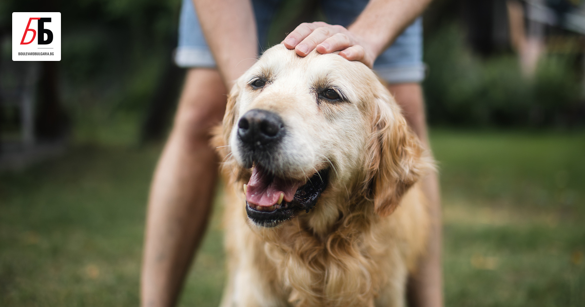 Ще кажете – ние не избираме приятелите си. Приятелствата се