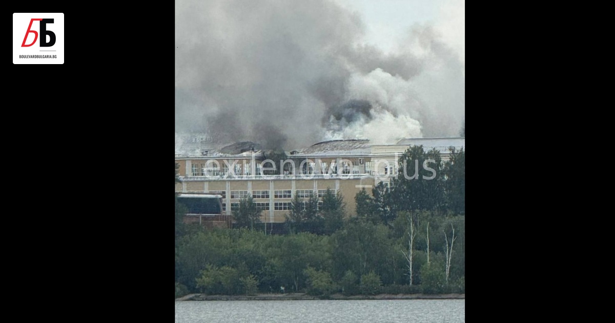 Украинските сили за сигурност са извършили нова акция срещу военни