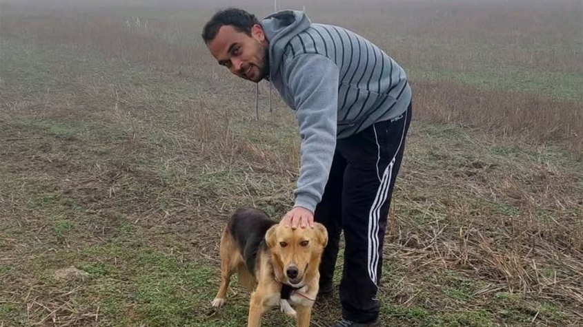 Yettel dog shelter