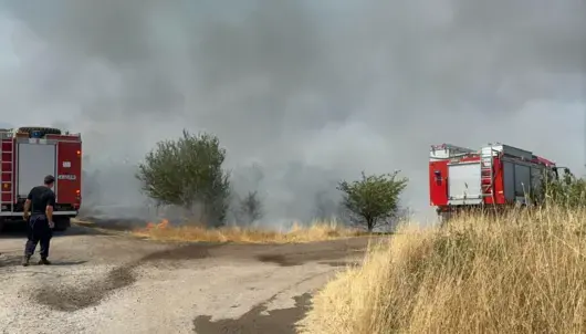 Пожар изпепели десетки постройки във вилна зона край Бургас