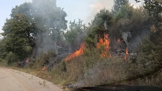 Община Белоградчик обяви бедствено положение заради горския пожар