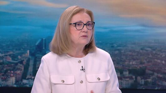 Румяна Бъчварова: "Срам" е позицията на МВнР срещу посланичката на Германия