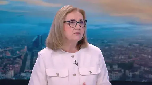 Румяна Бъчварова: "Срам" е позицията на МВнР срещу посланичката на Германия