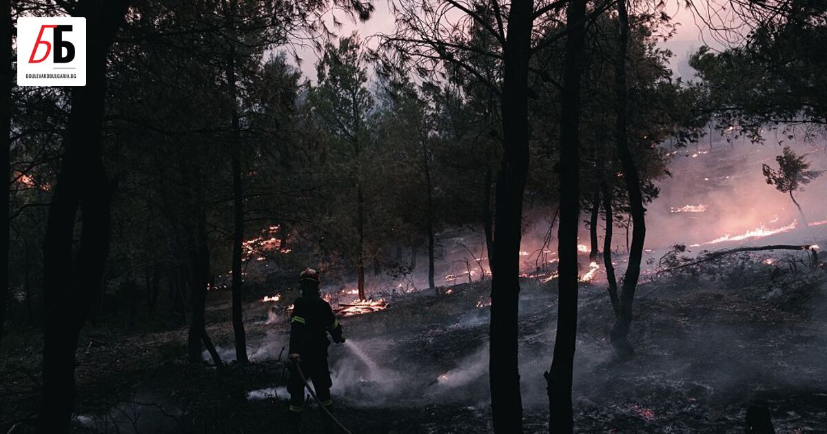 Пожар избухна на 17 юли 2025 г. в гориста местност