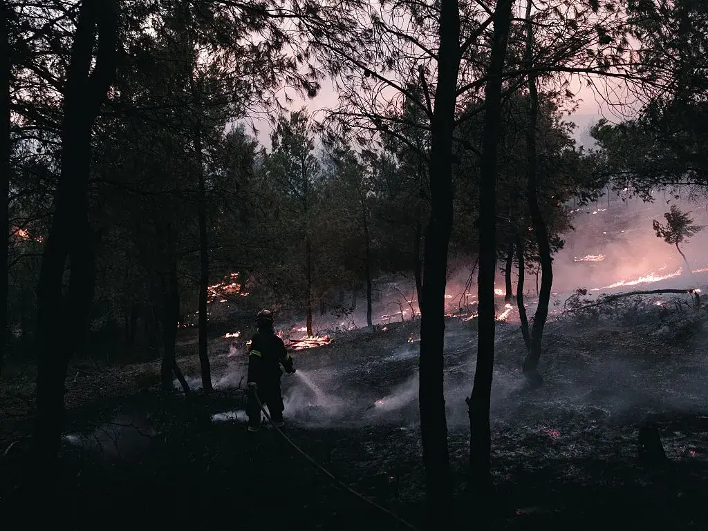 Избухна пожар до границата с Гърция, но разпространението към България е овладяно