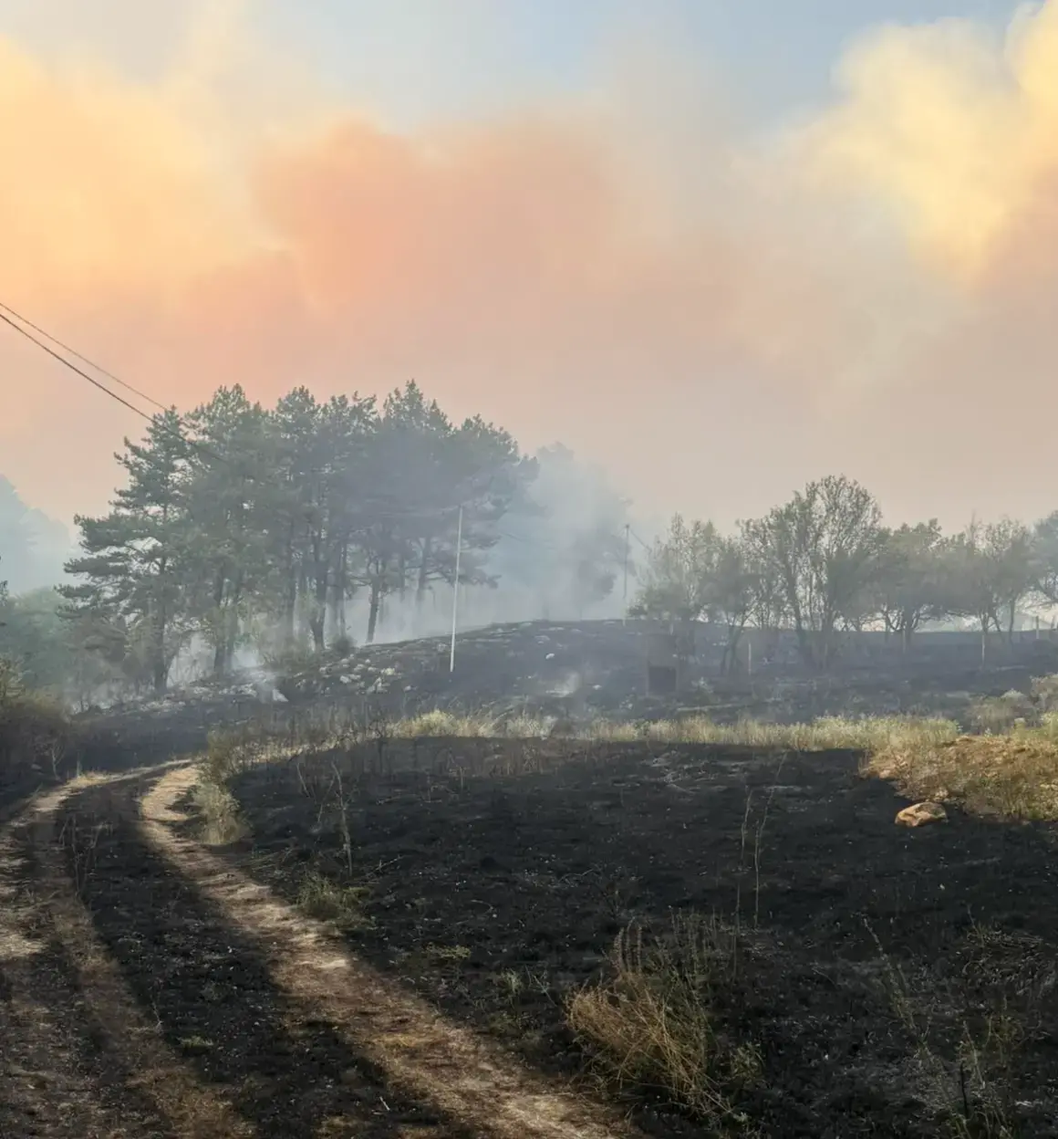 Над 200 пожара са овладени за денонощие, под наблюдение остават районите на Костинброд и Ямбол