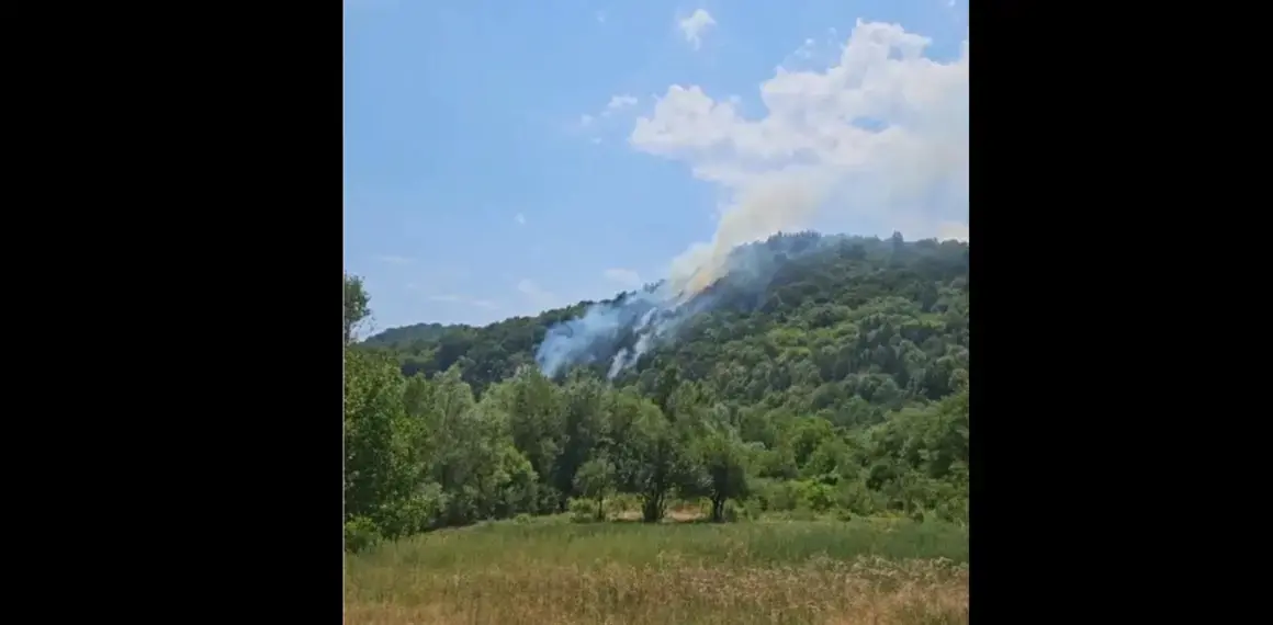 Пожар край Белово спря влаковете София - Пловдив