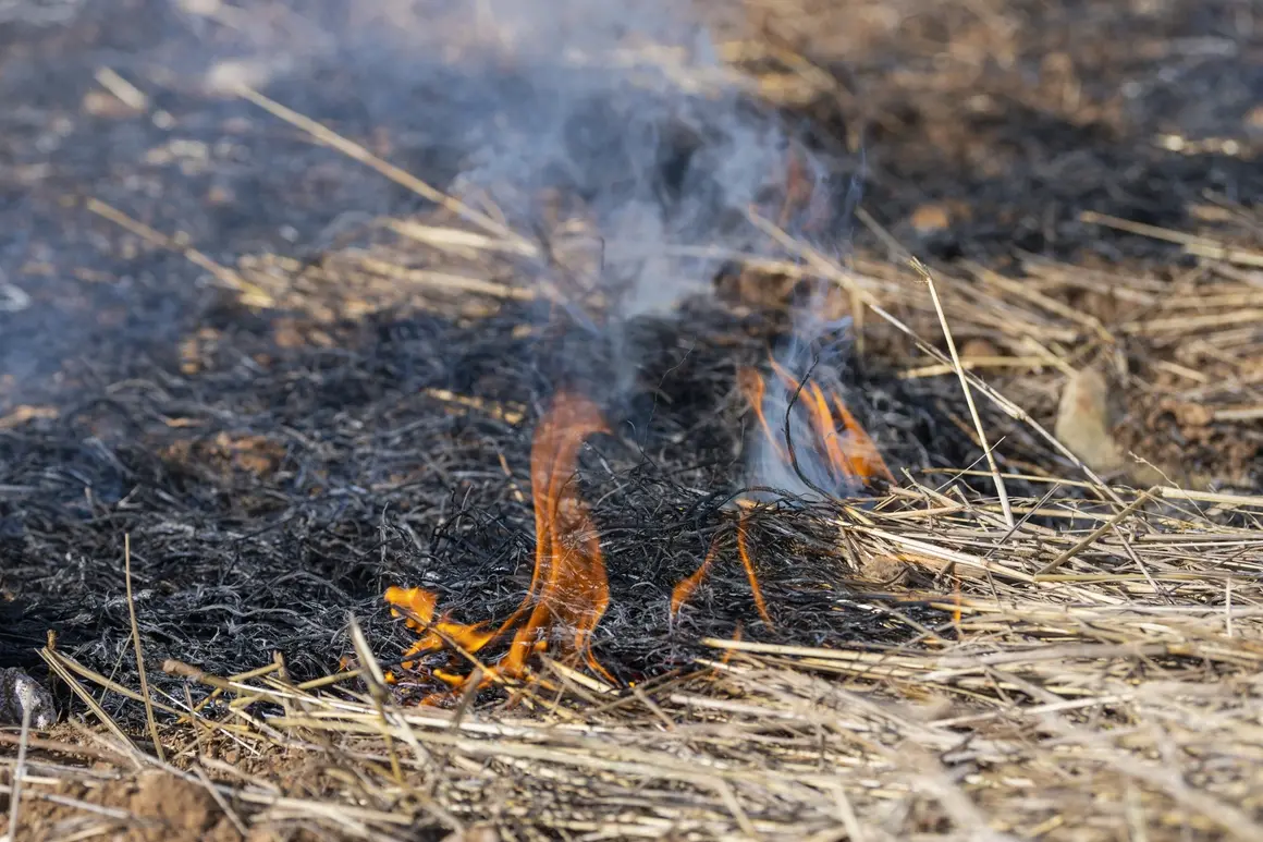 Системата BG-ALERT предупреждава за риск от пожари в Бургас