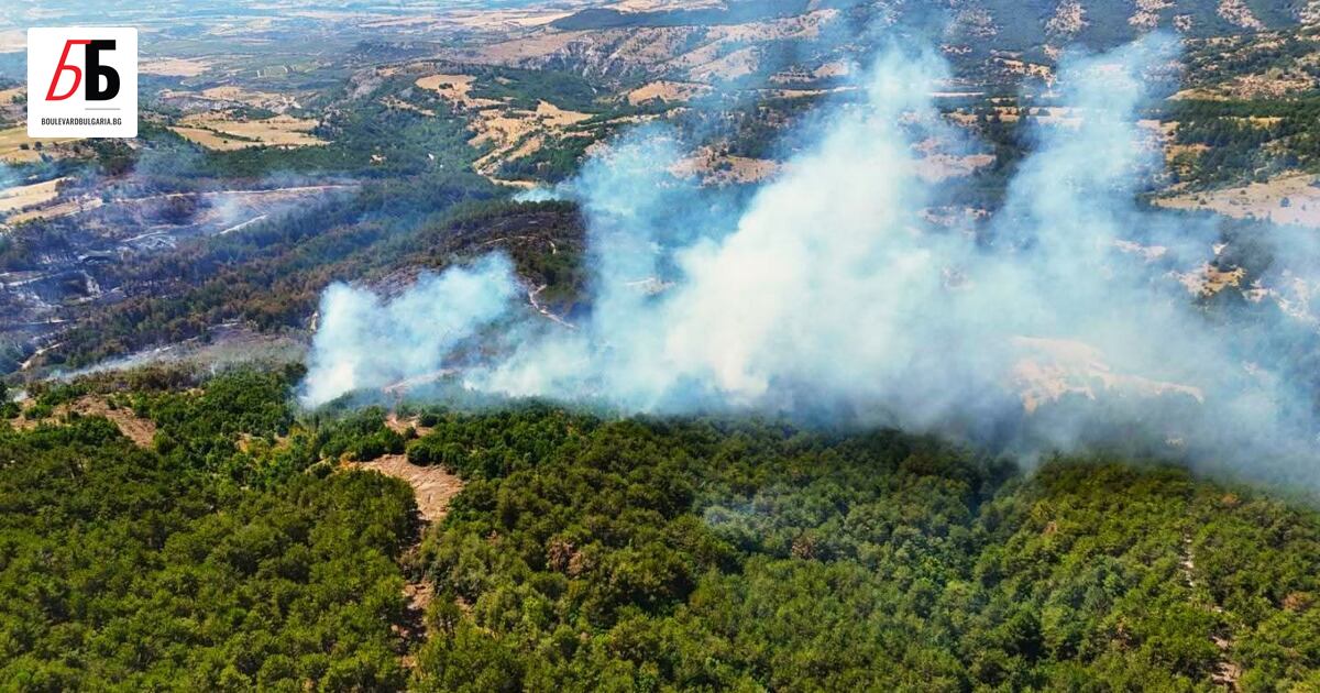 Новината е обновена в 17:05 ч. на 27.07.2025 г. В