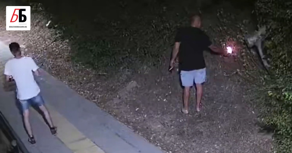 Мъжете, които умишлено предизвикаха пожари във Велико Търново и Сливен,