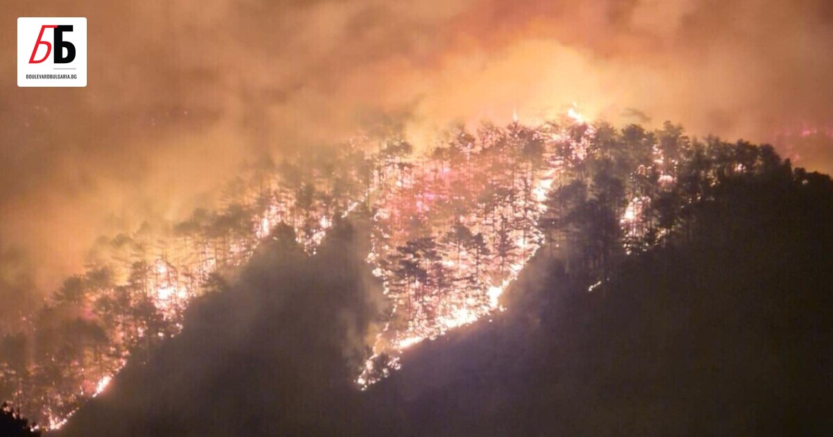 Нощта на 29 юли ще остане дълго в спомените на