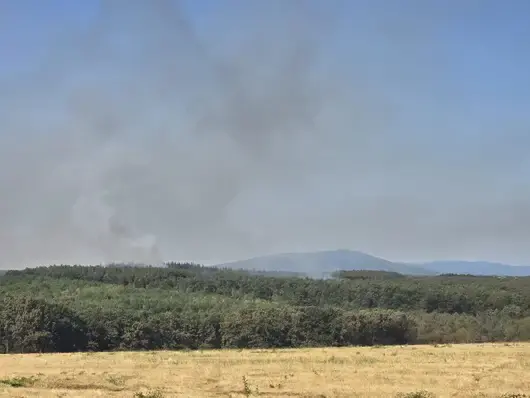 Евакуират хора от село Скала заради пожара в  Сунгурларе