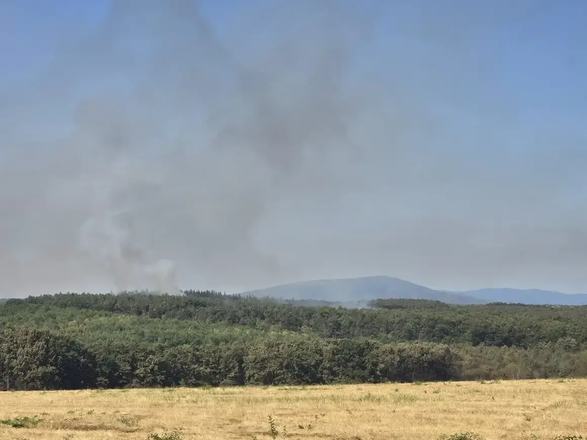 Евакуират хора от село Скала заради пожара в  Сунгурларе