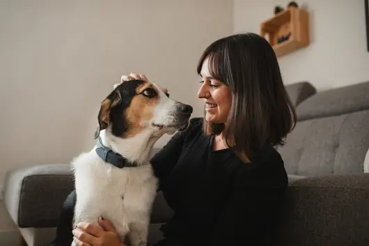 Да си „изхраниш“ куче не значи само да сложиш храна в купичката