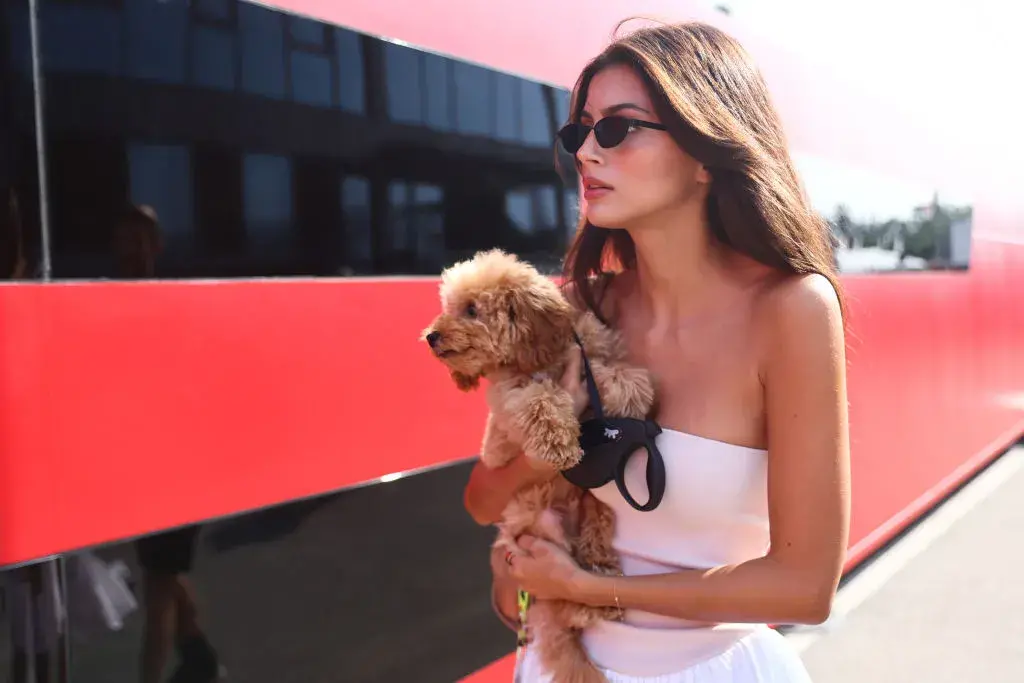 Ниската раждаемост тласка италианците да насочат любовта и парите си към домашните любимци