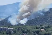 Пожарите в страната се увеличават, очаква се тежък пожароопасен сезон 