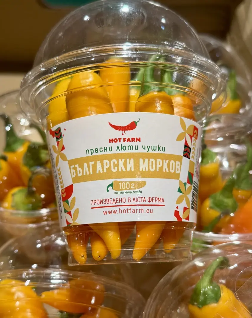 Люта чушка български морков