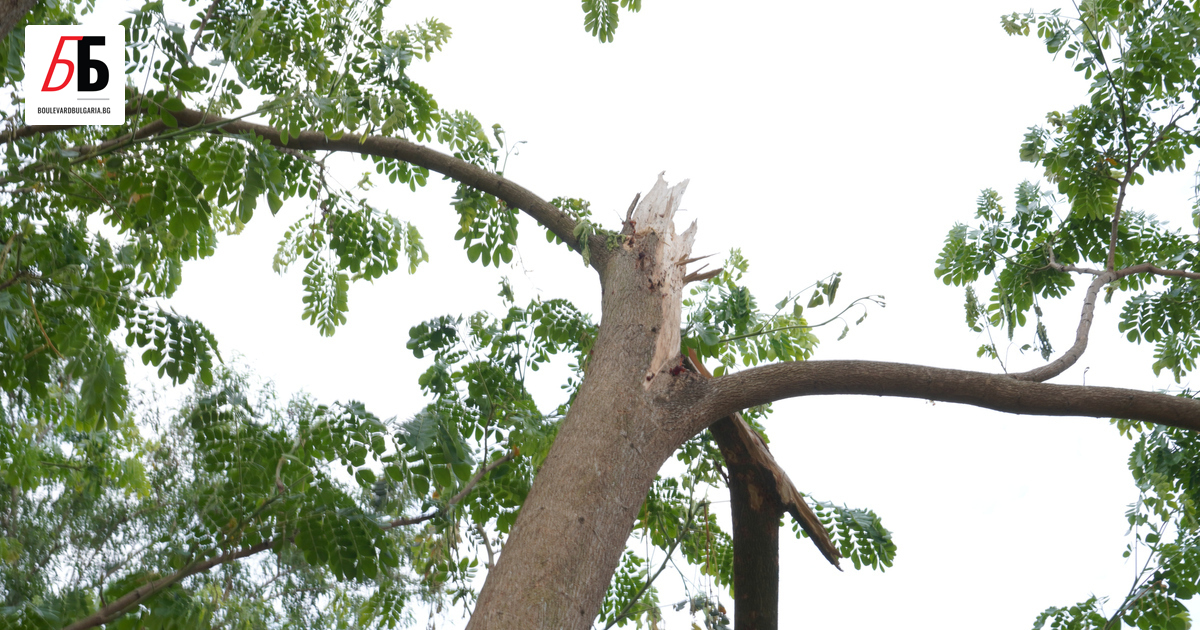 Възрастен мъж на 78 години е загинал, след като върху