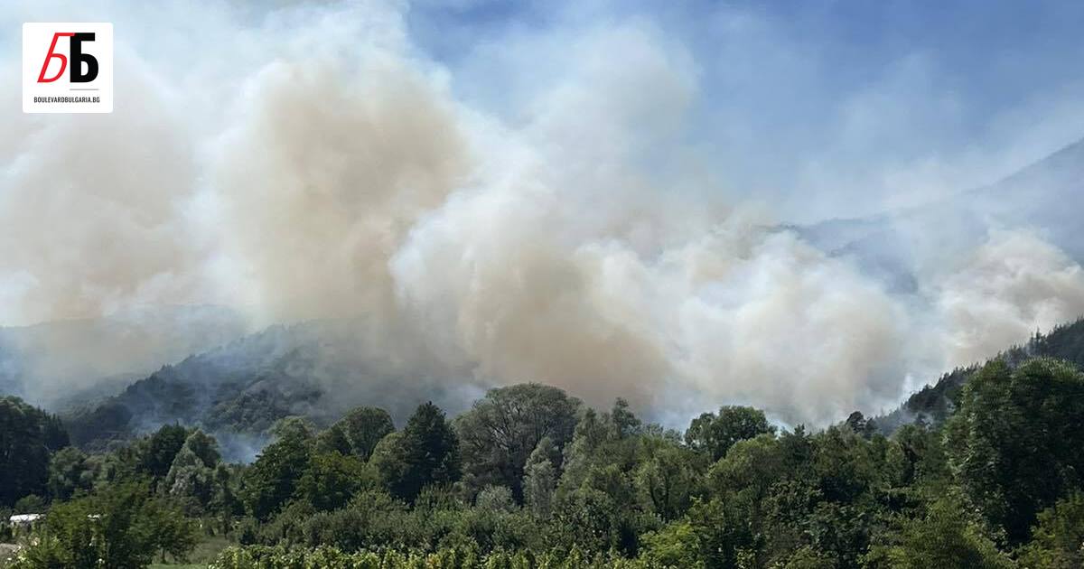 Голям пожар гори край град Якоруда, в района на минералните