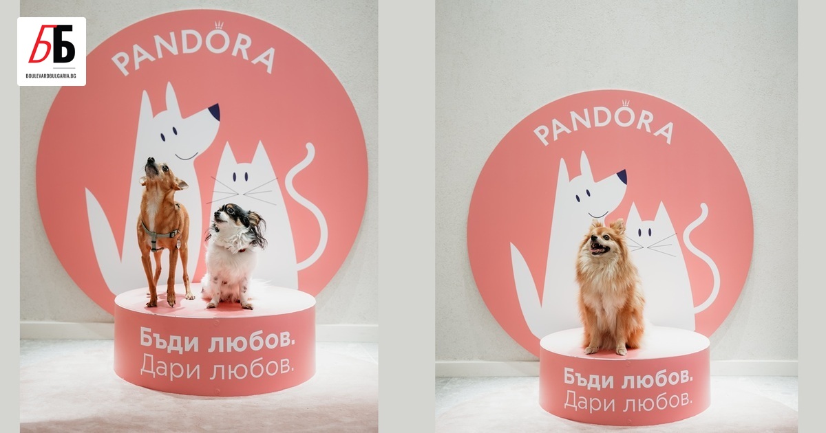 На 26 август бул. Витоша“ 40 се изпълни с любов,