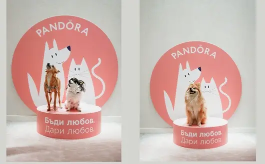 Pandora & Pet Sisters събраха над 2000 лв. за бездомните животни с благотворително събитие 