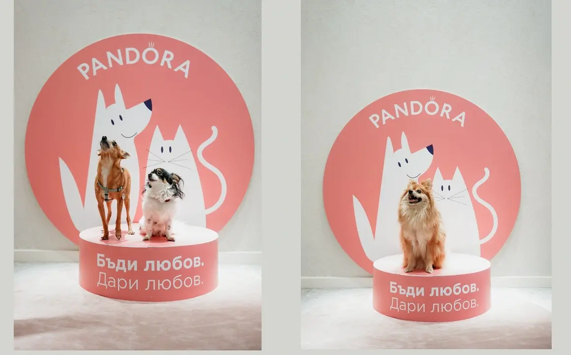 Pandora & Pet Sisters събраха над 2000 лв. за бездомните животни с благотворително събитие 
