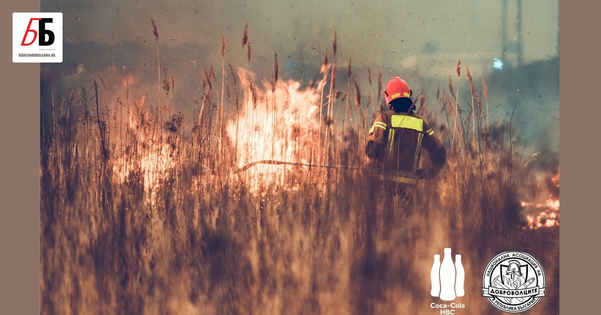 В отговор на безпрецедентната ситуация с горските пожари в страната,