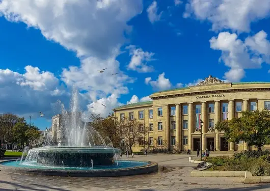 Всички обвиняеми за побой над полицейския шеф в Русе остават в ареста (обновена)