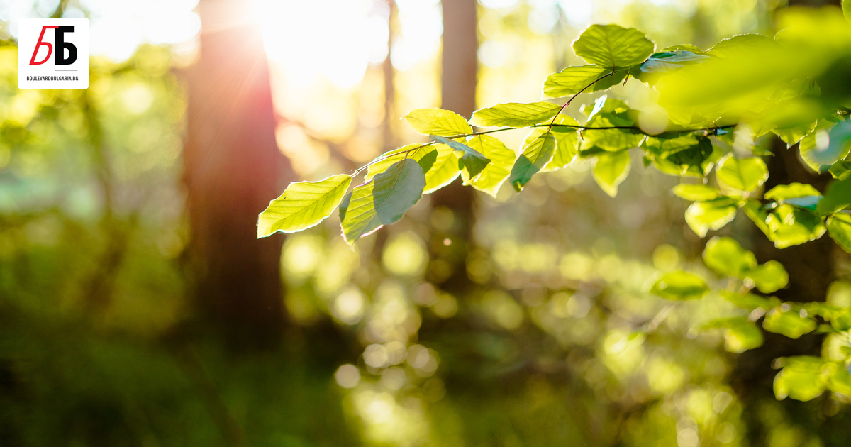 Неделя ще бъде от онези късно-летни дни, които напомнят, че
