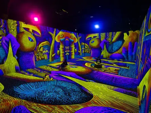 VIDENIE - пространство за 3D мапинг и имерсивни преживявания отваря врати на 15 септември