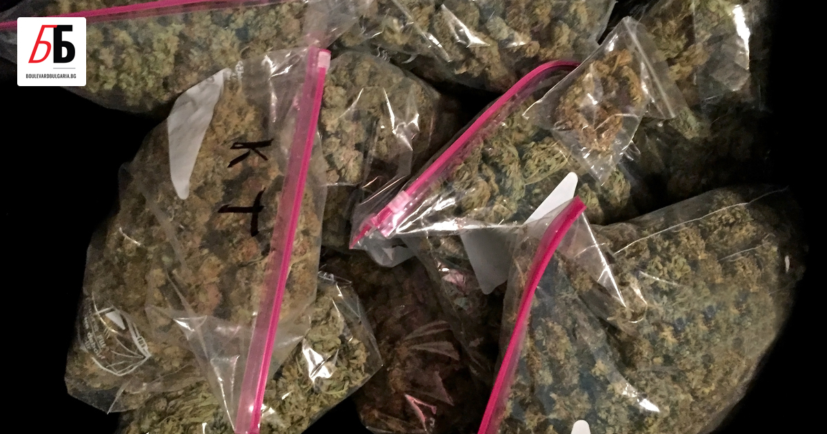 Единият от синовете на прокурор Валентина Маджарова е задържан с