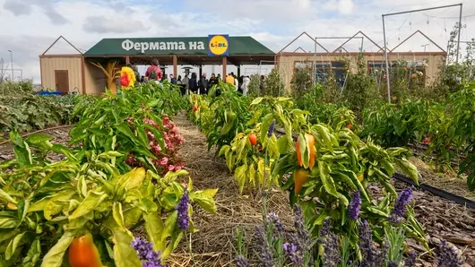  „Фeрмата на Lidl” – образователна градина от ново поколение