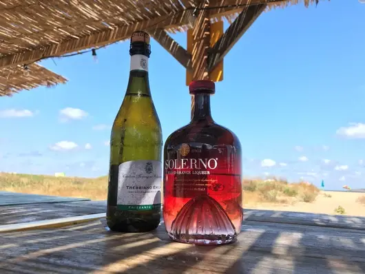 Веселите поръчвачи E13