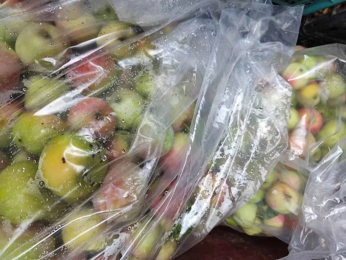 15 железничари заловени да крадат ябълки по време на работа