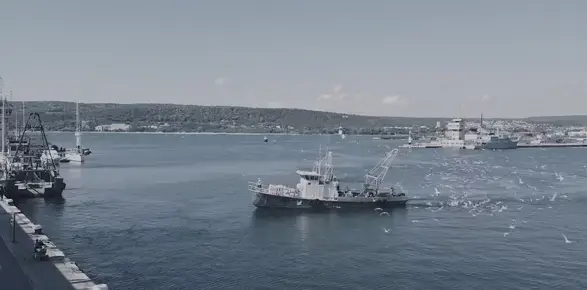 Борбата за есетрите в Черно море продължава – видът е изключително ценен и на прага на изчезване