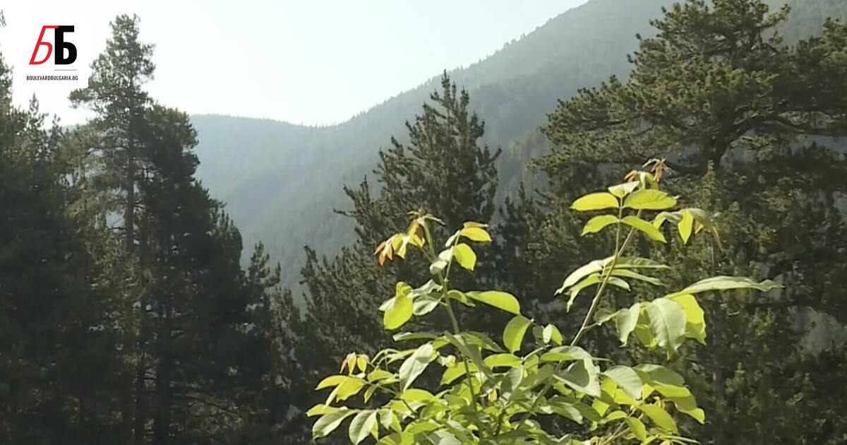 Мъж от Русе, изчезнал преди 13 години и обявен за