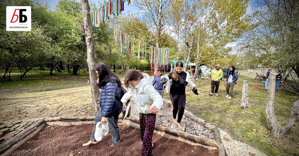 Центърът за защита на природата и животните в Добрич се