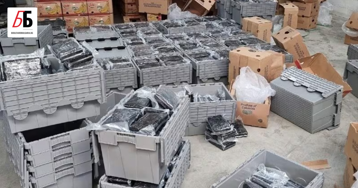 3,3 тона кокаин за 250 милиона евро са иззети от