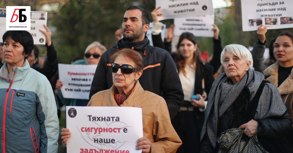 Стотици хора се събраха на протест срещу насилието над животни.