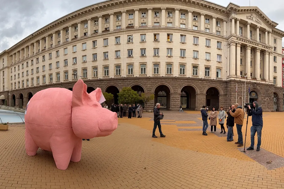 Прасе-касичка посреща протест пред парламента днес 