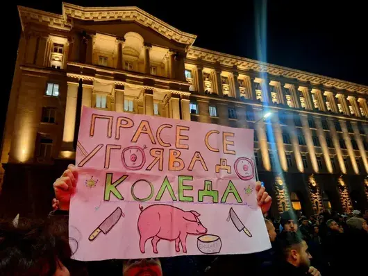 МВР мобилизира мащабно полицейско присъствие за протеста