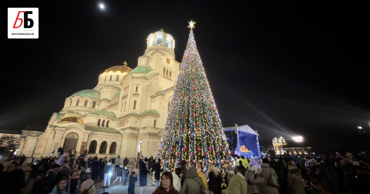 Коледната елха на София грейна тази вечер с над 20