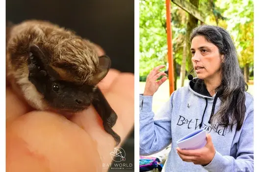 Вяра Крушкова, която ни учи да обичаме прилепите или когато каузата те намира сама