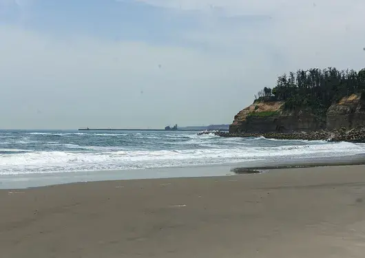 Силно земетресение с магнитуд 7,5 по Рихтер разтърси Япония