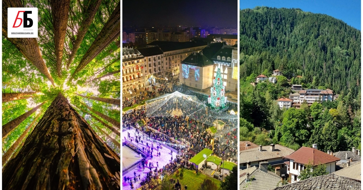 Вече е декември и никой не ни пита дали сме