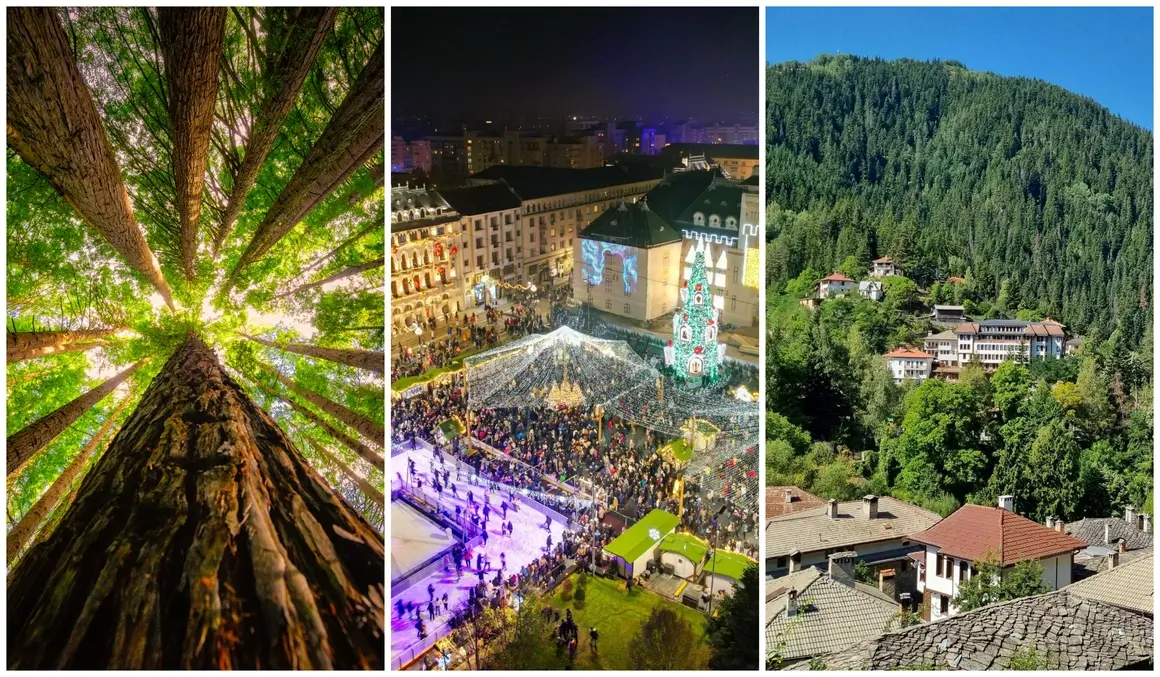 4 пътешествия с кола до края на декември, които си заслужават да организирате