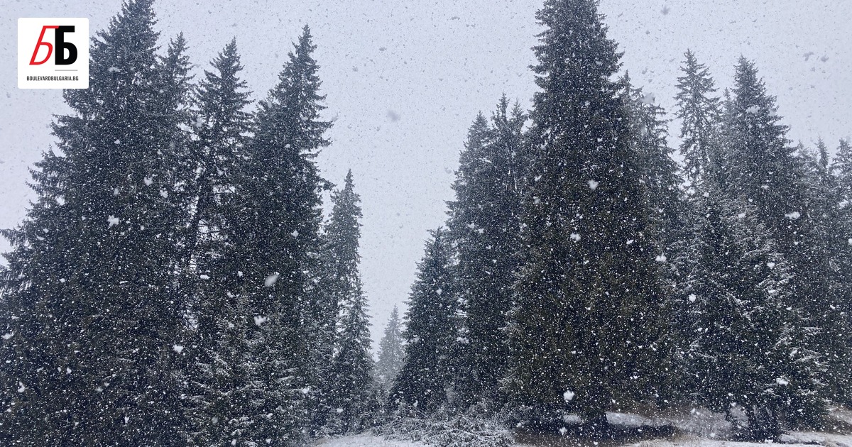 Туристе паднал в пропаст край връх Вихрен в Пирин планина,