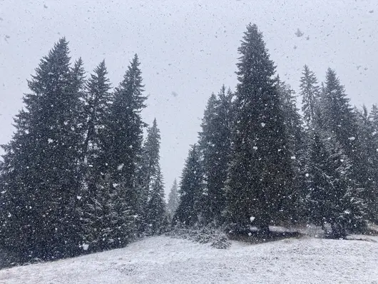 Турист е паднал в пропаст при връх Вихрен